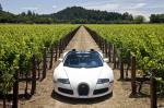 Bugatti Veyron 16.4 Grand Sport Roadster 2008 года